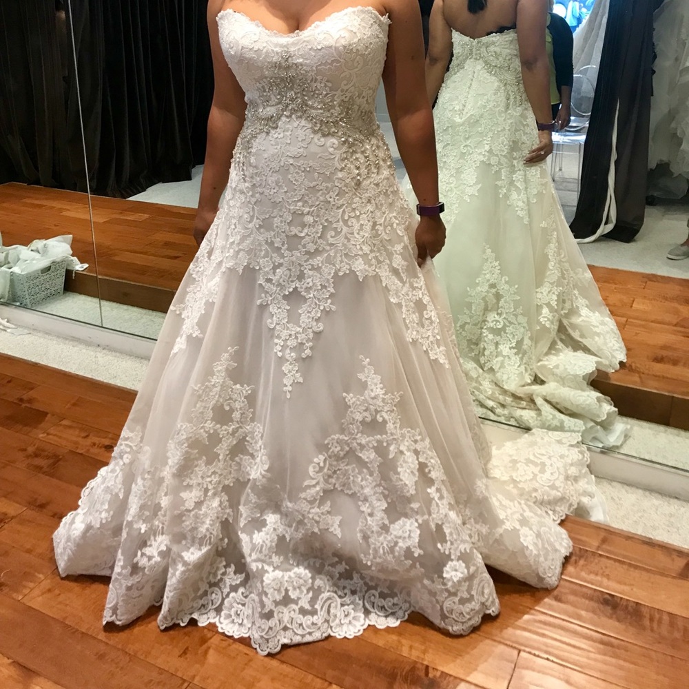 Maggie Sottero - Picture 1 of 5